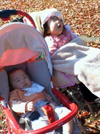 落ち葉と一緒に