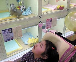 子犬がいっぱい