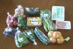 今日のお買い物