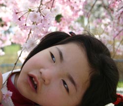 綺麗だったね～