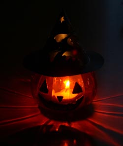 ニューフェイス