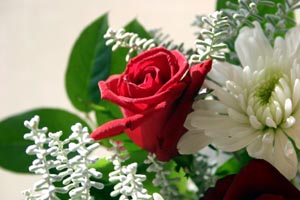 クリスマスですね・・・